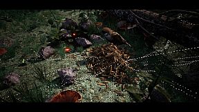 Soilborn: Ant Empire