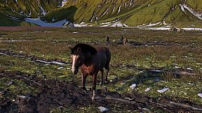 HORSE LIFE: find horses in open world, survive in wild nature as a foal or pony