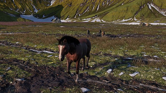 HORSE LIFE: find horses in open world, survive in wild nature as a foal or pony
