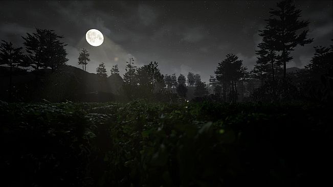 CASE 2: Animatronics Survival