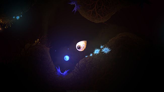 Evolution From the little light