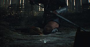 The Witcher 4