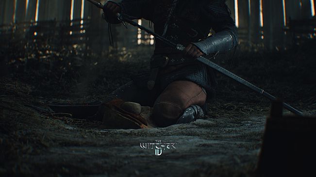 The Witcher 4