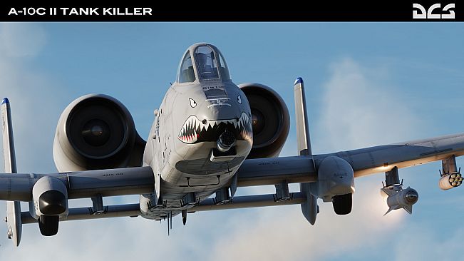 DCS: A-10C II Tank Killer