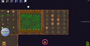 Herb Garden