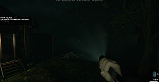Eclipse Anomaly Research - Swamp of Insanity