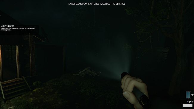 Eclipse Anomaly Research - Swamp of Insanity