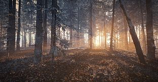 theHunter: Call of the Wild - Medved-Taiga - Windows 10