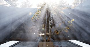 Scientific project: Optic