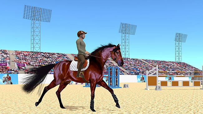 Jumpy Horse Show Jumping