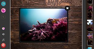 Under the Sea Jigsaw Puzzles