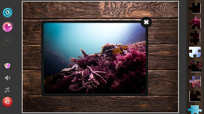 Under the Sea Jigsaw Puzzles