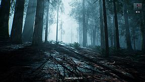 TV Head: Eight Pages