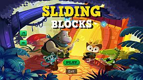 Sliding Blocks