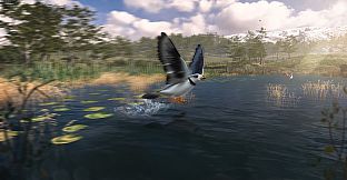Birding Simulator: Bird Photographer