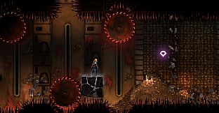 Castlevania: Belmont’s Curse Midnight Edition