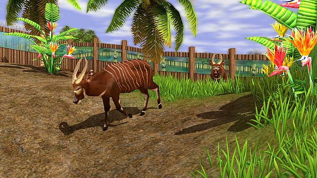 Wildlife Park 3 - Africa