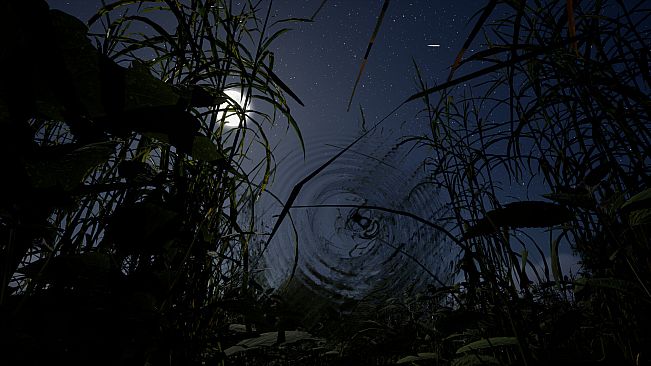 Whispers of the Tallgrass