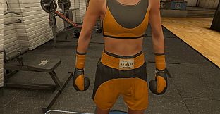The Thrill Of The Fight 2 - Fitz Gym Original Gloves