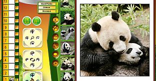 Wildlife Creative Studio