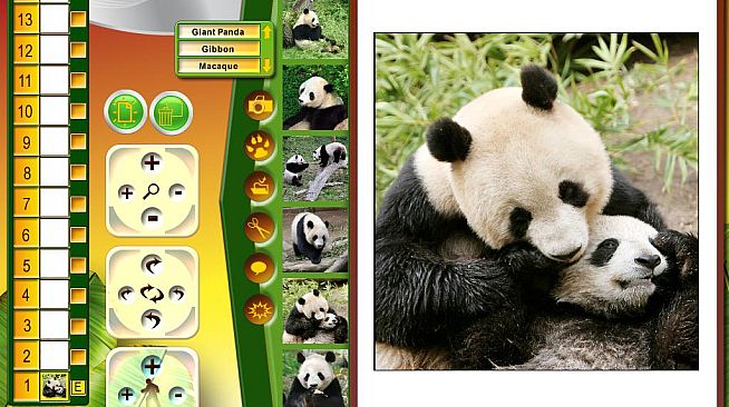 Wildlife Creative Studio