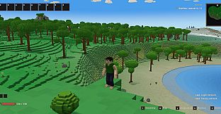 Voxel Wild