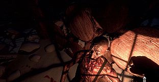 Wraith Rage: A Shadow's Choice