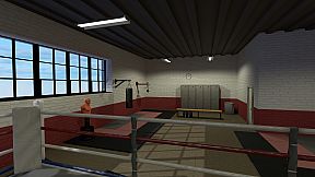 The Thrill of the Fight - VR Boxing