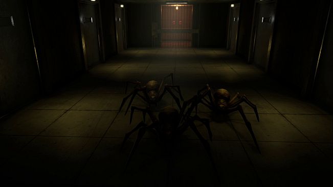 Prison Anomaly