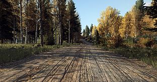 DiRT Rally 2.0 - Finland (Rally Location)
