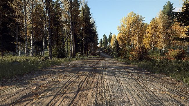 DiRT Rally 2.0 - Finland (Rally Location)