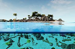 Homaysa: Free To Play