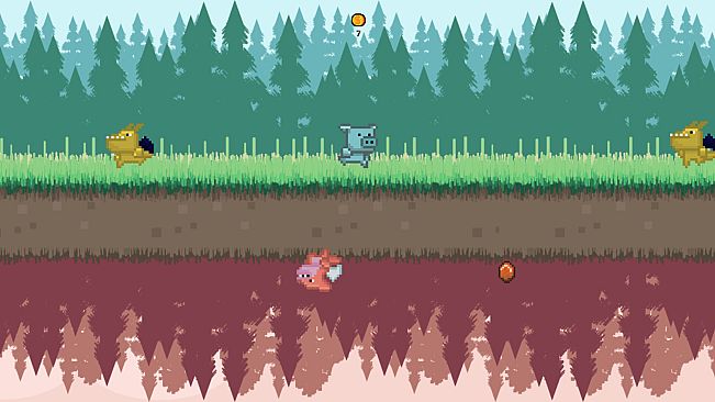 ANIMALITY - Pig Colour Pigments