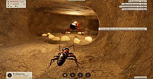 Ant Now?