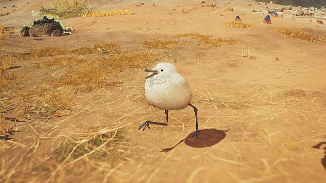 Monster Hunter Wilds - Zdobienie: podążający derkacz