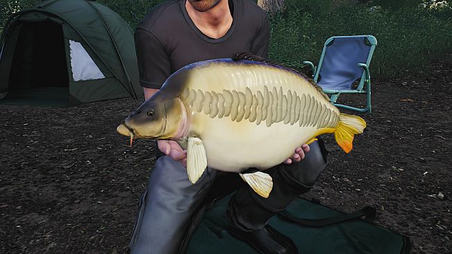 Euro Fishing: Lilies