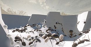 Ant Keeping Simulator - Species Pack 1