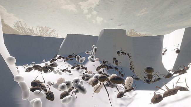 Ant Keeping Simulator - Species Pack 1