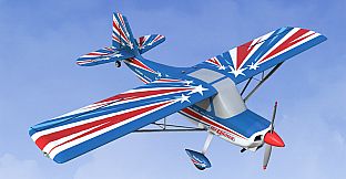 RealFlight Evolution - 2024 Year Content Pass