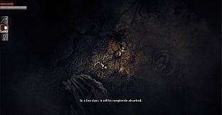 Stealth & Survival Bundle