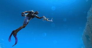 ImmersiX - Sharkarma