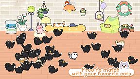 猫语拾光 Cat And Life