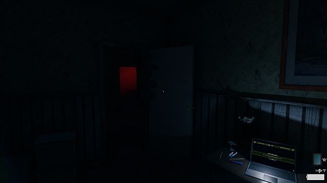 Eclipse Anomaly Research - The Painted Smile