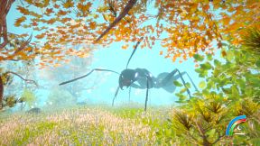 Hidden Treasures in the Forest of Dreams