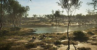 theHunter: Call of the Wild - Emerald Coast Australia