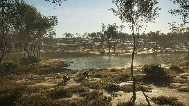 theHunter: Call of the Wild - Emerald Coast Australia