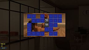 Memory Puzzle - Futanari Boss