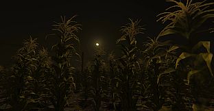 Cornfield