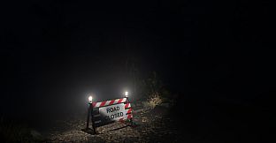 Light - Die to Survive