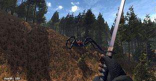 Forest spiders